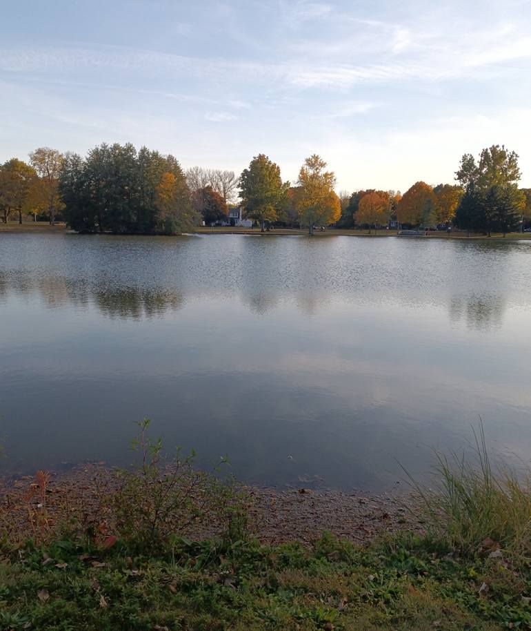 Original Nature Photography by Nicole H | Contemporary Art on Paper | Lake in the Fall
