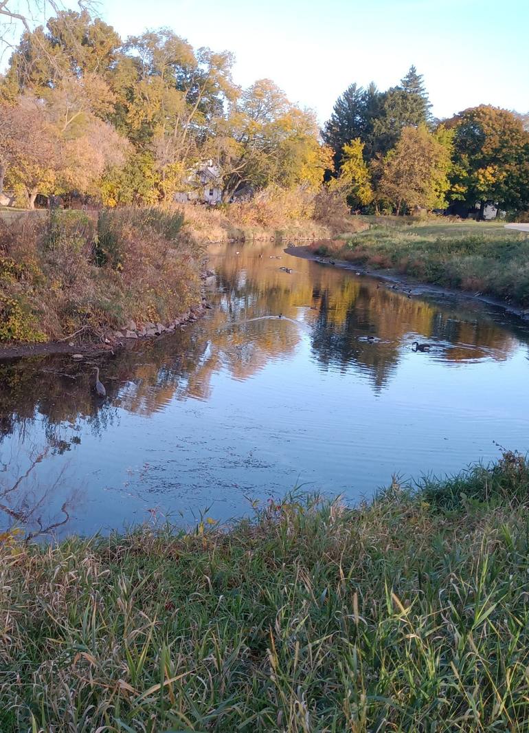 Original Nature Photography by Nicole H | Contemporary Art on Paper | Lake With Birds in the Fall