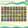 "Supra Energy Forms" Complete Landscape Hanging