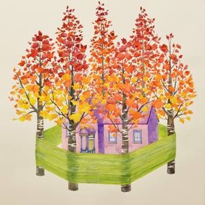 Collection International Spotlight: Japan