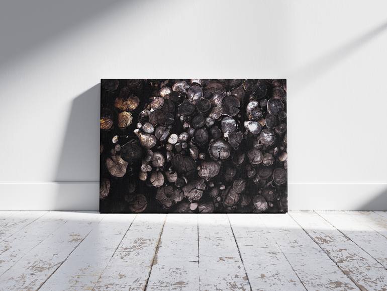 Original Abstract Photography by Barry Swart
