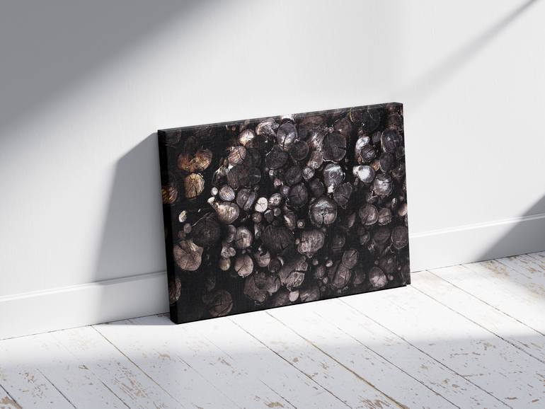 Original Abstract Photography by Barry Swart