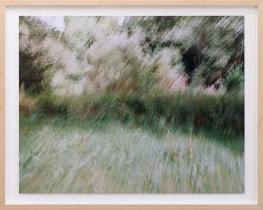 Original Abstract Nature Photography by Martijn Roelofs