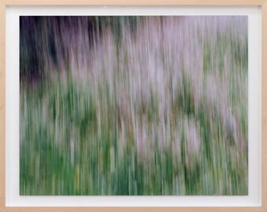 Original Abstract Expressionism Nature Photography by Martijn Roelofs