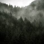 Collection Table 13 - Davenport Hotel