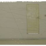 Collection 100 Curators Collection