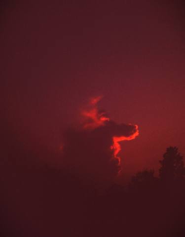 Original Abstract Horse Photography by Raoul Marcolini