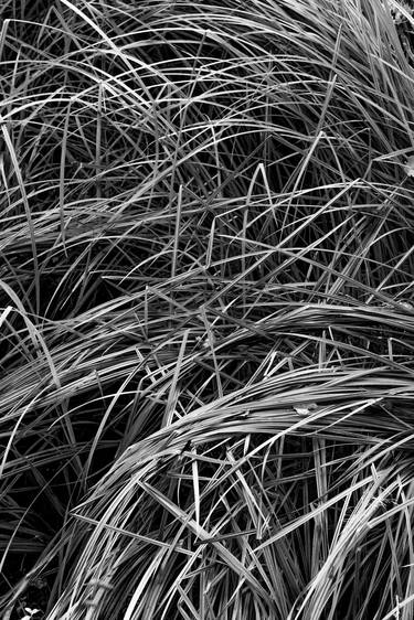 Original Geometric Nature Photography by Bruno Houdayer