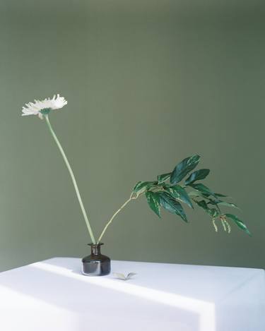 Original Photorealism Still Life Photography by Mikita Pushnou