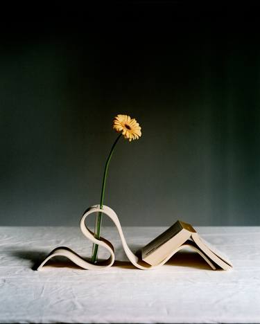 Original Symbolism Still Life Photography by Mikita Pushnou