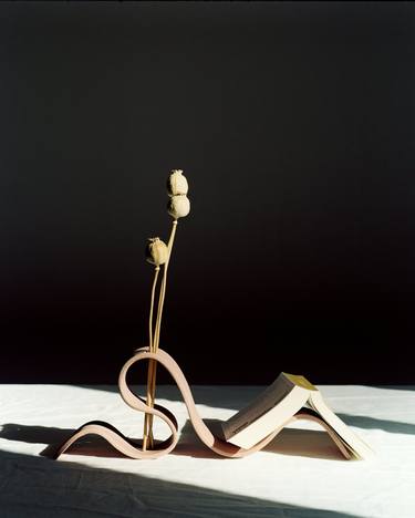 Original Minimalism Still Life Photography by Mikita Pushnou