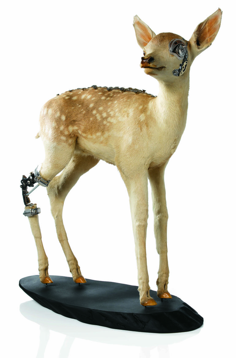 Original Animal Sculpture by Lisa  Black