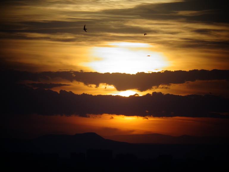 Original Nature Photography by Marianna Khachatrian | Antique Art on Paper | Last Light of the Day, sunset, Limited Edition of 5 photograph