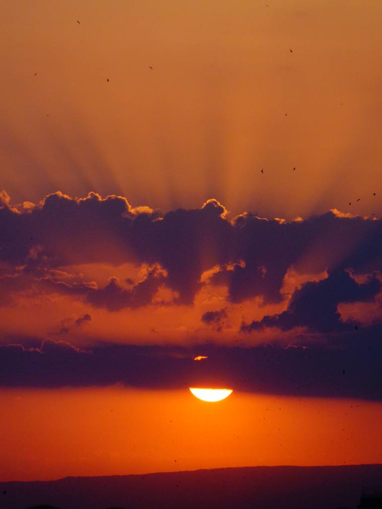 Original Nature Photography by Marianna Khachatrian | Antique Art on Canvas | The Last Light, sunset, Limited Edition Sunset