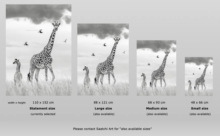 Original Black & White Nature Photography by Preeti And Prashant Chacko