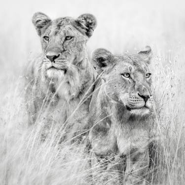 Original Black & White Nature Photography by Preeti And Prashant Chacko