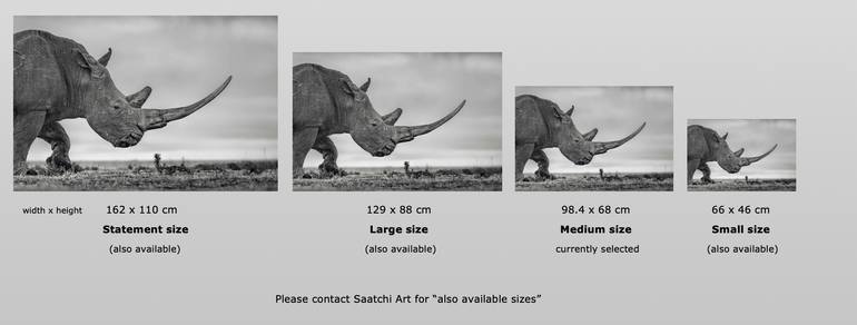 Original Black & White Nature Photography by Preeti And Prashant Chacko