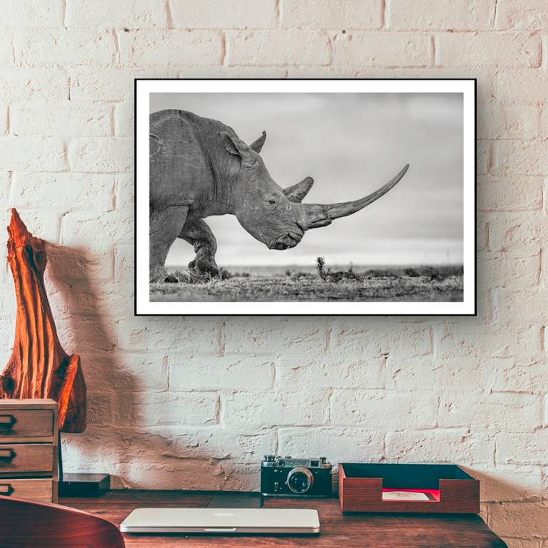 Original Black & White Nature Photography by Preeti And Prashant Chacko