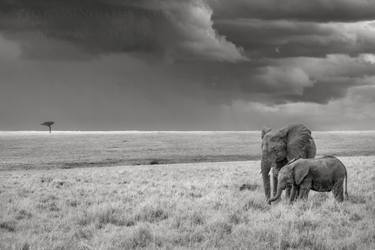 Original Realism Nature Photography by Preeti And Prashant Chacko