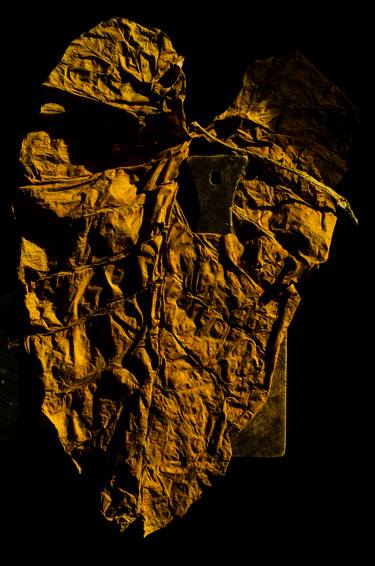 Original Abstract Expressionism Fantasy Photography by Bambang Triatmojo