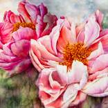 Grace Unfolded by Laura Fox-Wallis