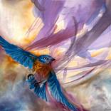 Lifted by the Light by Laura Fox-Wallis