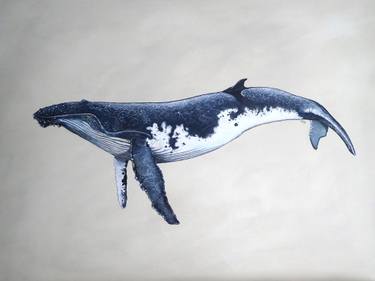 Original Figurative Animal Paintings by Franck Steinberg