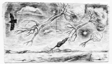 Original Surrealism Nature Drawings by Rosin Fairfield