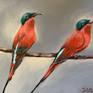Southern carmine bee eater original oil painting