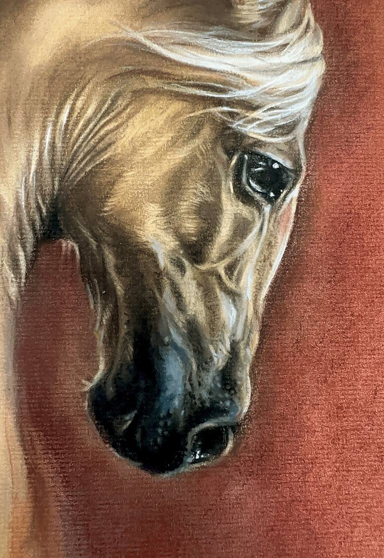 Original Realism Horse Drawing by Shilo Julia