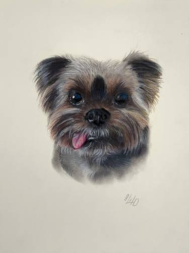 Original Illustration Dogs Drawings by Shilo Julia