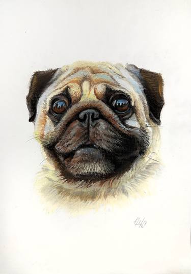 Print of Photorealism Dogs Drawings by Shilo Julia