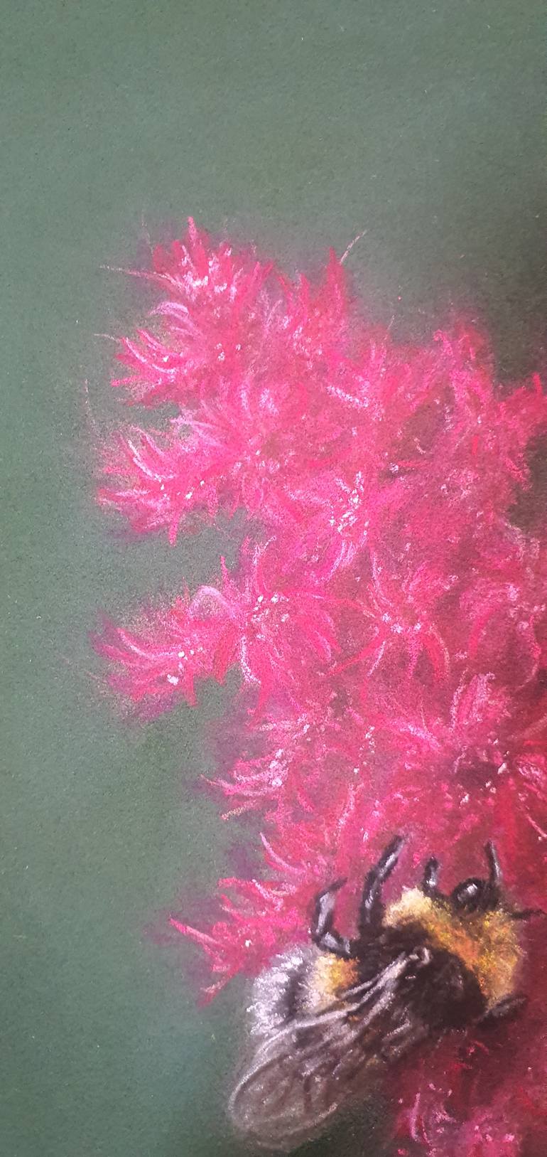 Original Realism Nature Drawing by Anastasiia Astapenko