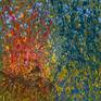 view additional image 1