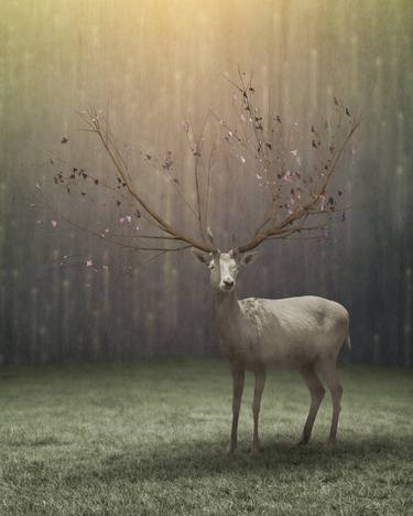 Original Digital Art Animal Photography by Gregory Noblin