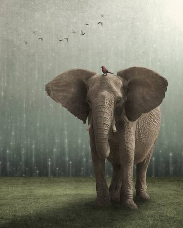 Original Surrealism Animal Photography by Gregory Noblin