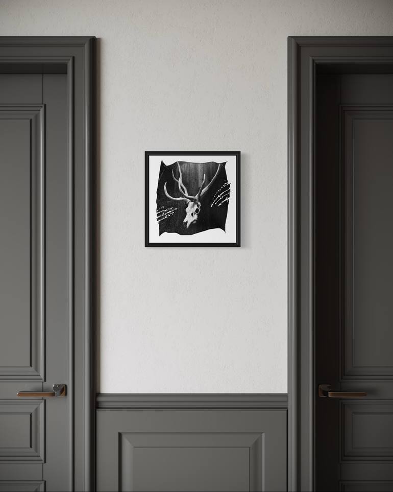 Original Black & White Animal Photography by Vladimir Borele