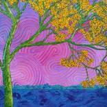 Palo Verde Spring by Katie Laws