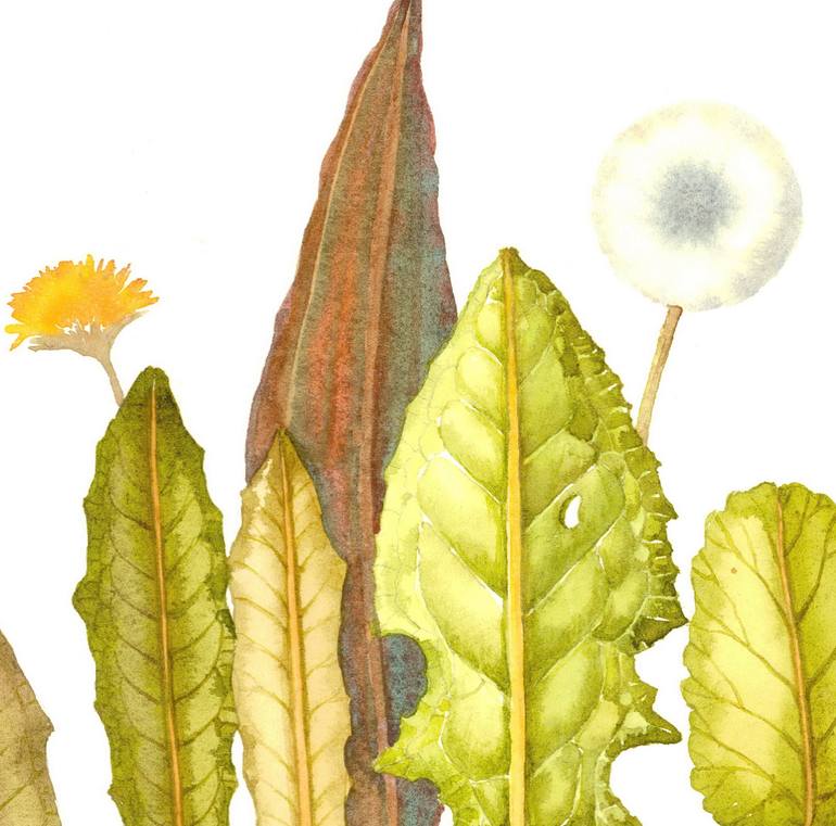 Original Figurative Botanic Painting by Rosa Marso