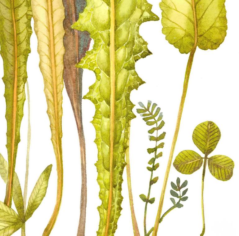 Original Figurative Botanic Painting by Rosa Marso