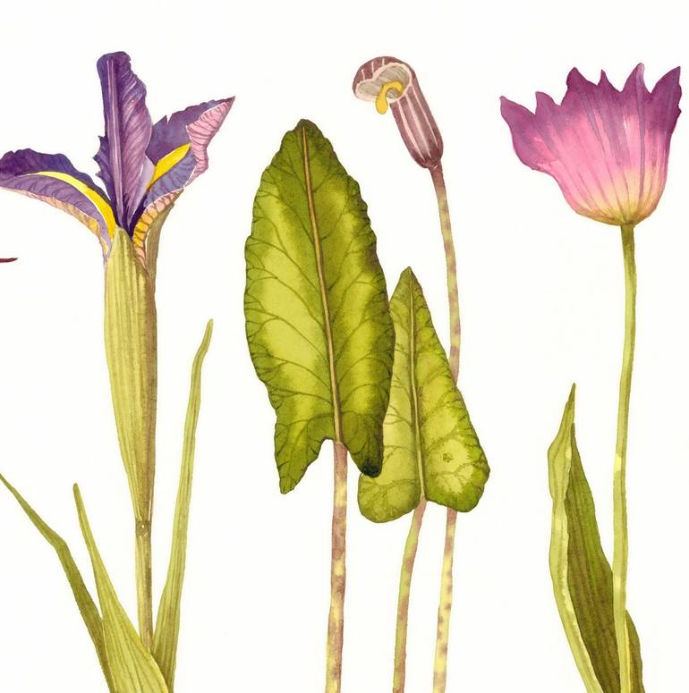 Original Contemporary Floral Painting by Rosa Marso