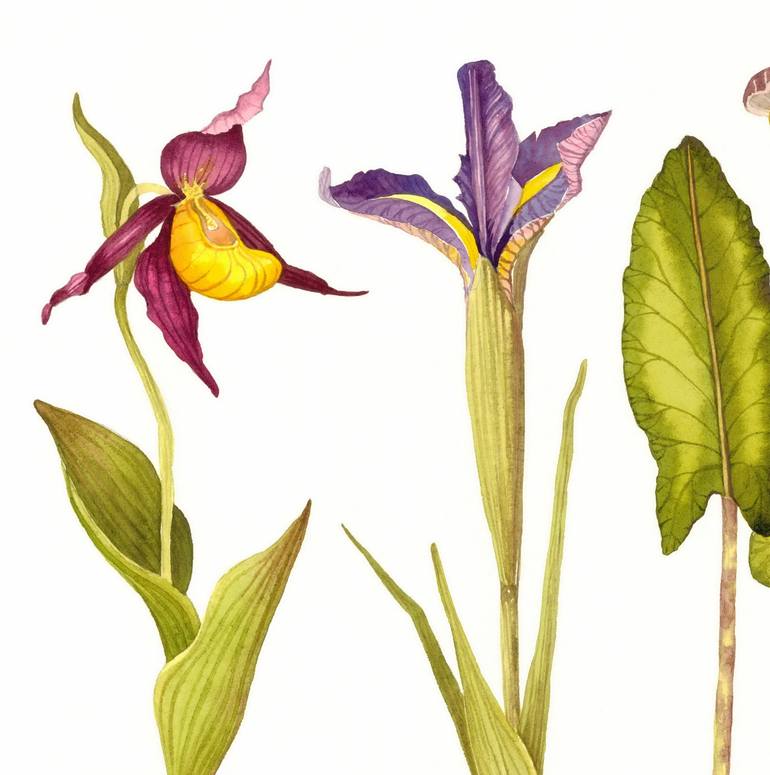 Original Contemporary Floral Painting by Rosa Marso