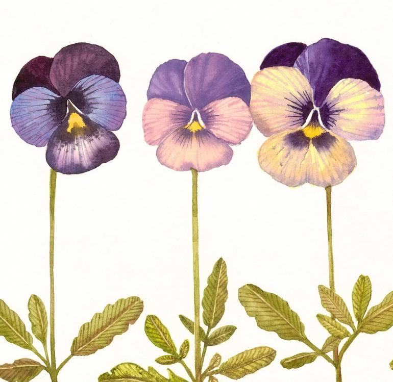 Original Realism Botanic Painting by Rosa Marso