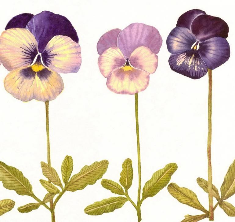 Original Realism Botanic Painting by Rosa Marso