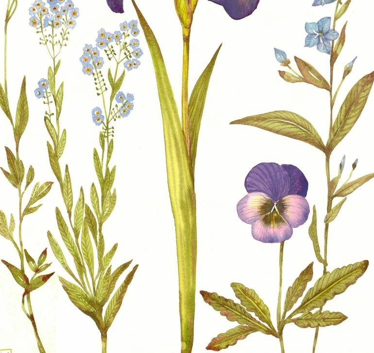 Original Illustration Botanic Painting by Rosa Marso