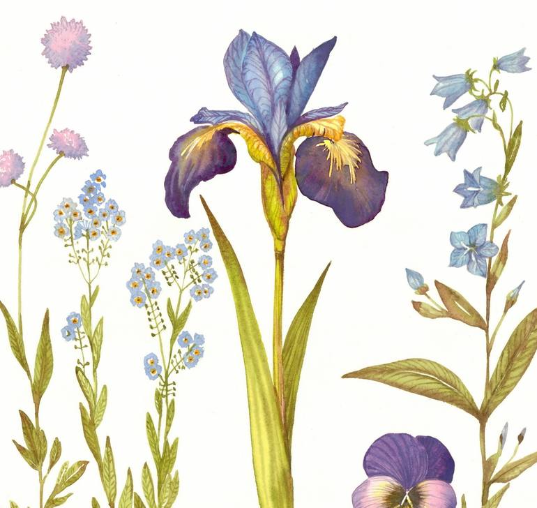 Original Illustration Botanic Painting by Rosa Marso