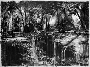 Print of Expressionism Nature Drawings by Matias Ercole