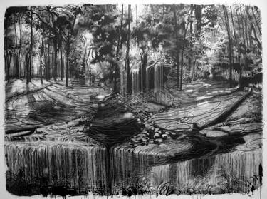 Original Expressionism Nature Drawings by Matias Ercole