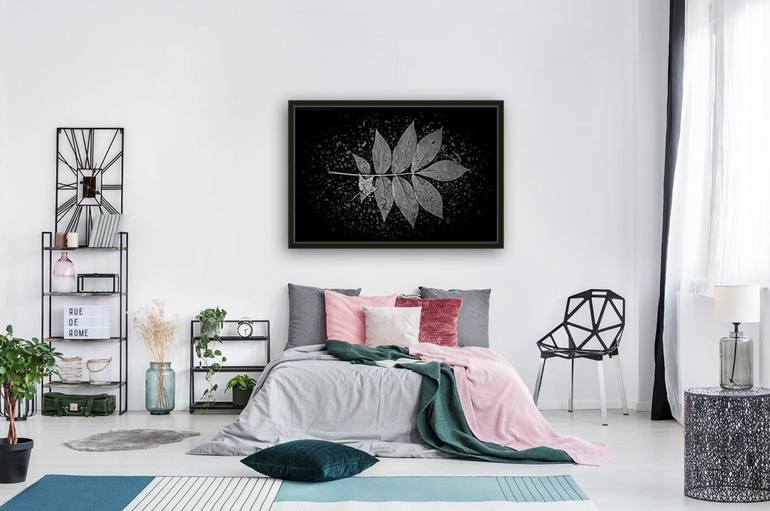 Original Abstract Floral Photography by Dan Urban