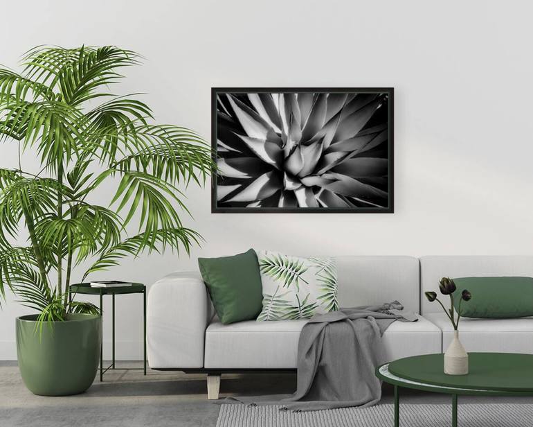 Original Black & White Floral Photography by Dan Urban